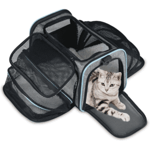 Bolsos Gatos