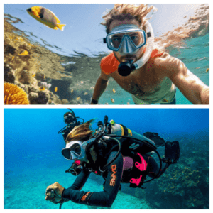 Buceo & Snorkel