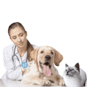 veterinarioskoop (1)